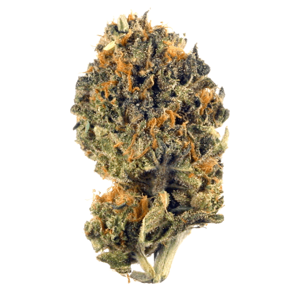 Zurple Punch | Hybrid | Indica